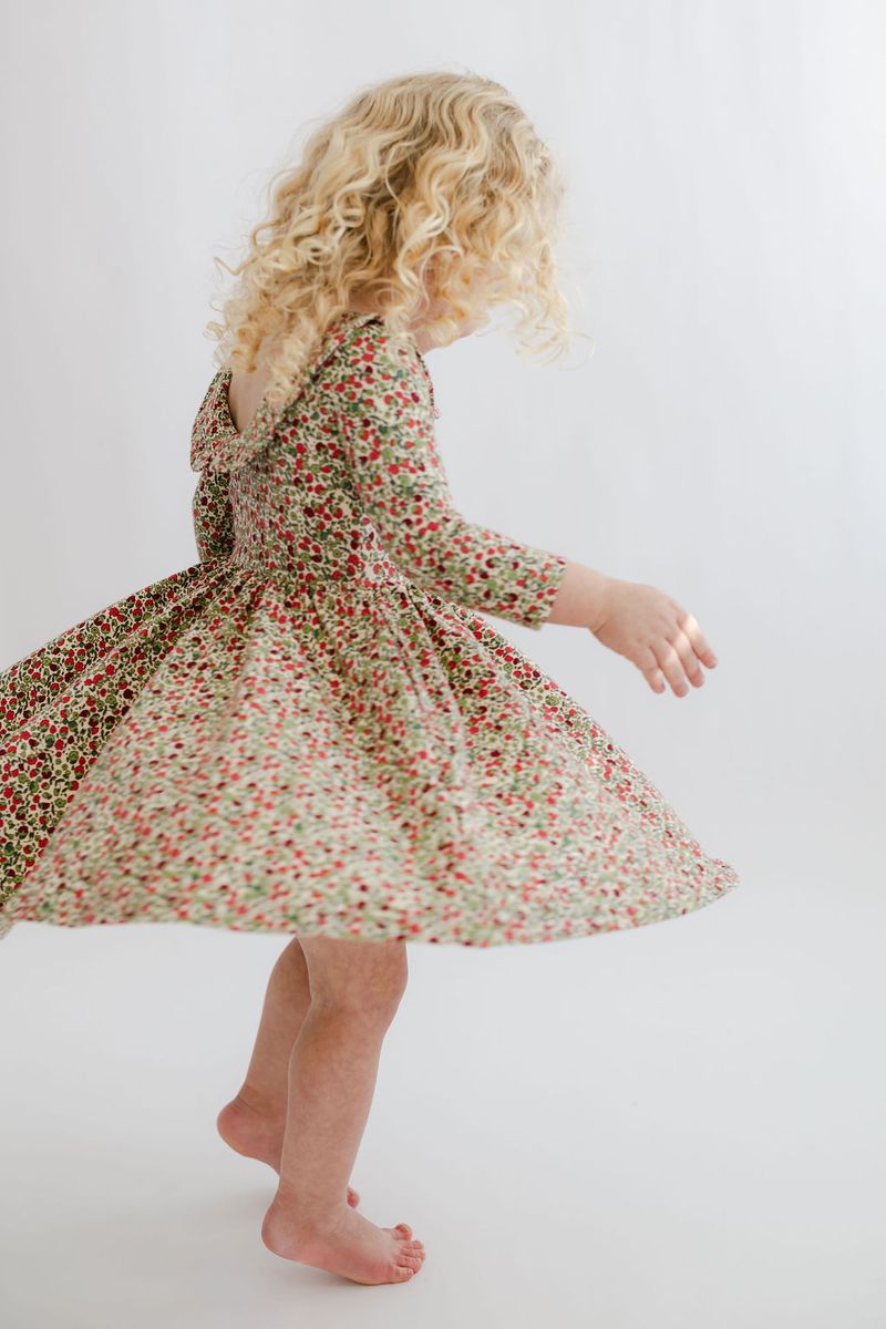 3/4 Sleeve Twirl Dress (Crimson Flora Collared)