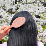 Hair Brush (Ballet Bow)