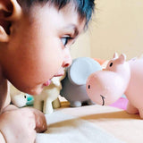 Teether Rattle & Bath Toy (Hippo)
