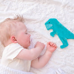 Crinkle Toy (T-Rex)