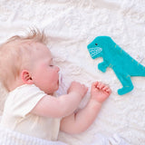 Crinkle Toy (T-Rex)
