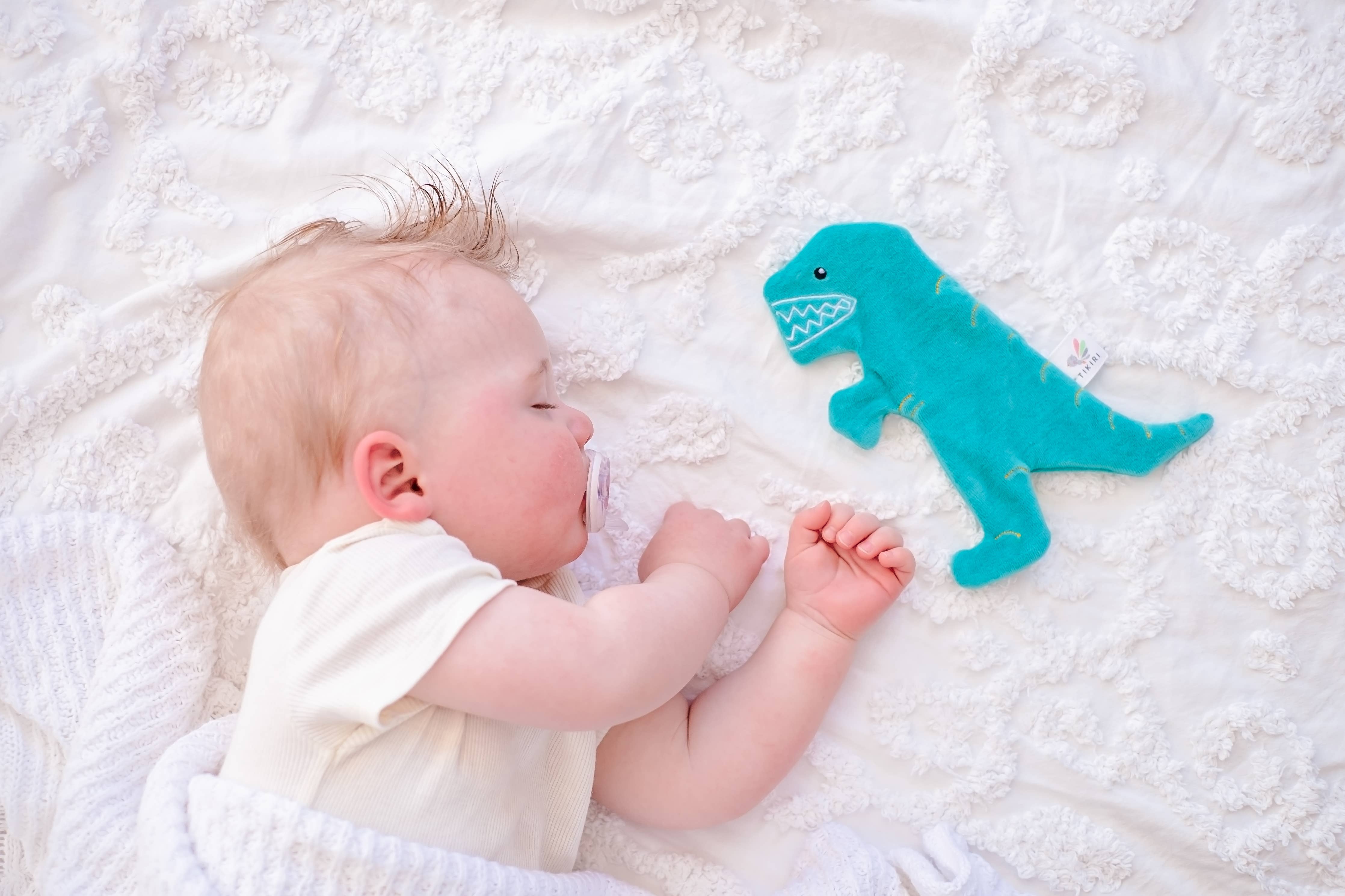 Crinkle Toy (T-Rex)