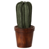 Flowerpot with Cactus Miniature
