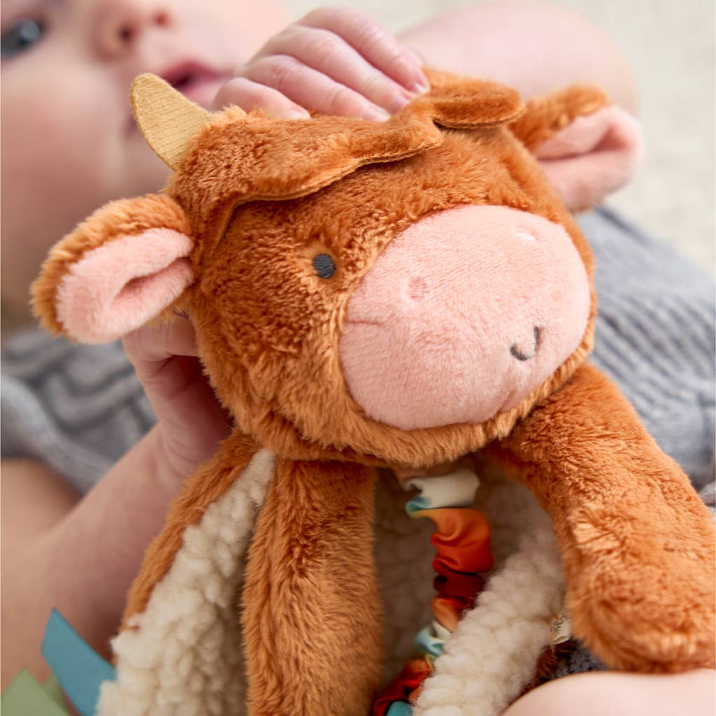 Crinkle Teether (Highland Cow)