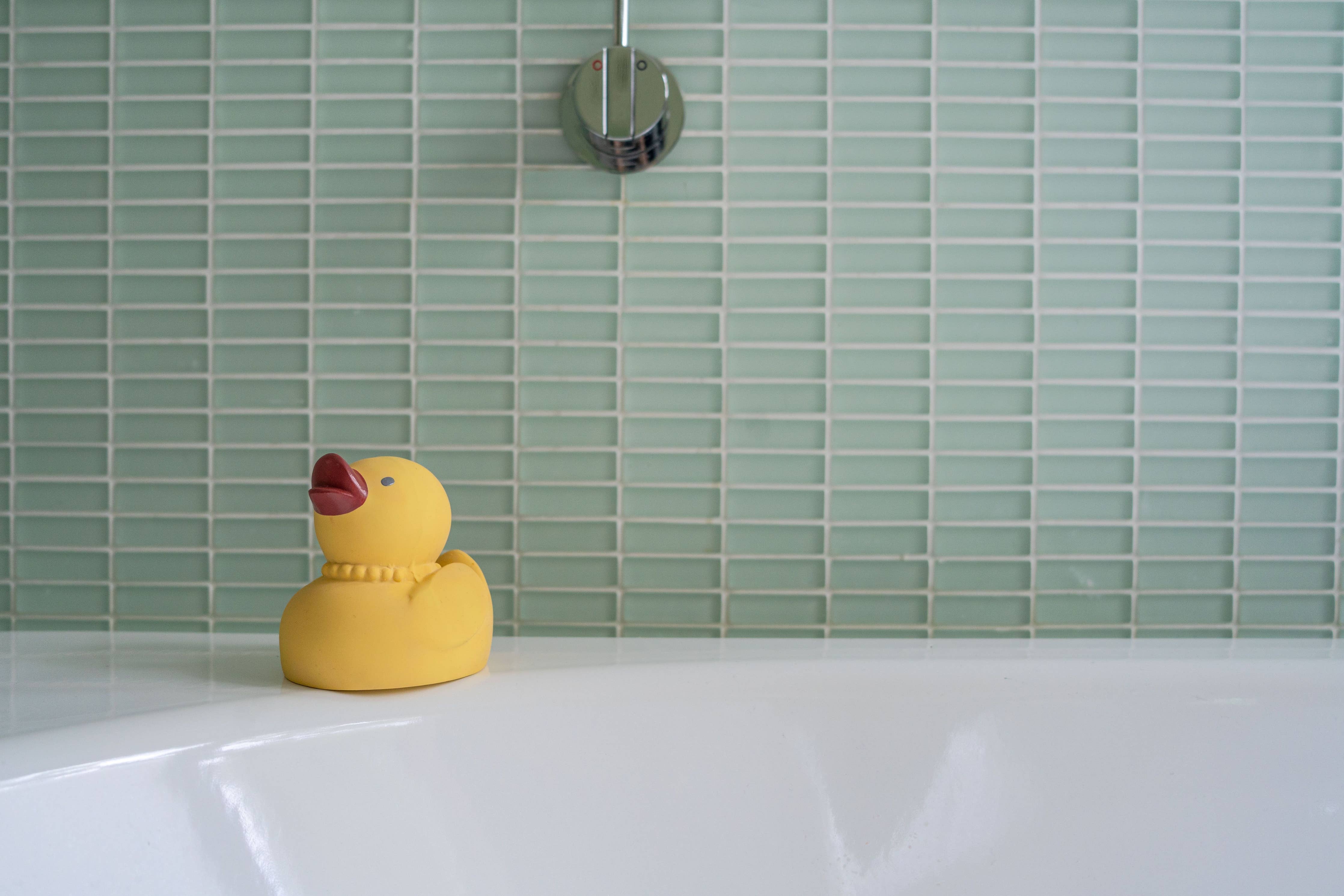 Bath Toy (Tara the Duck)