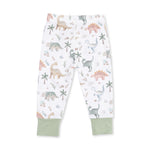 Long Sleeve Loungewear Set (Sweet Baby Dinos)