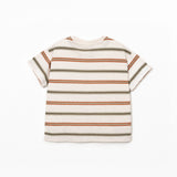 Boys Striped Jersey T-Shirt (Earth Tones)