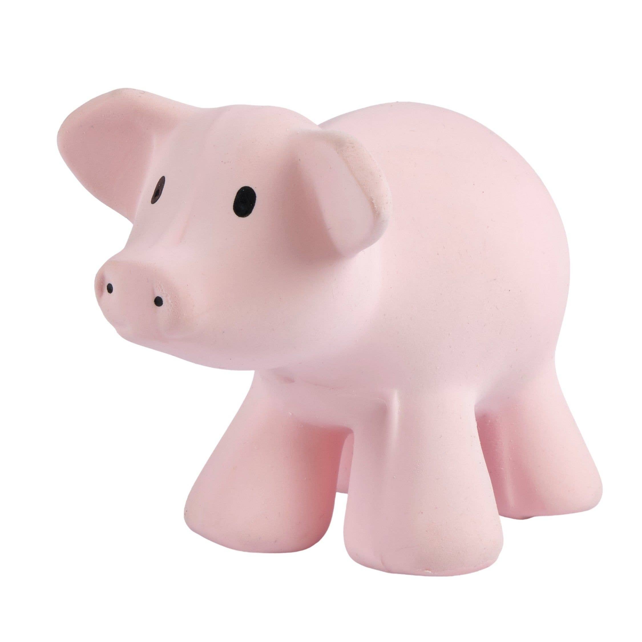 Teether Rattle (Pig)