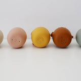 Silicone Bath Toy (Animal)