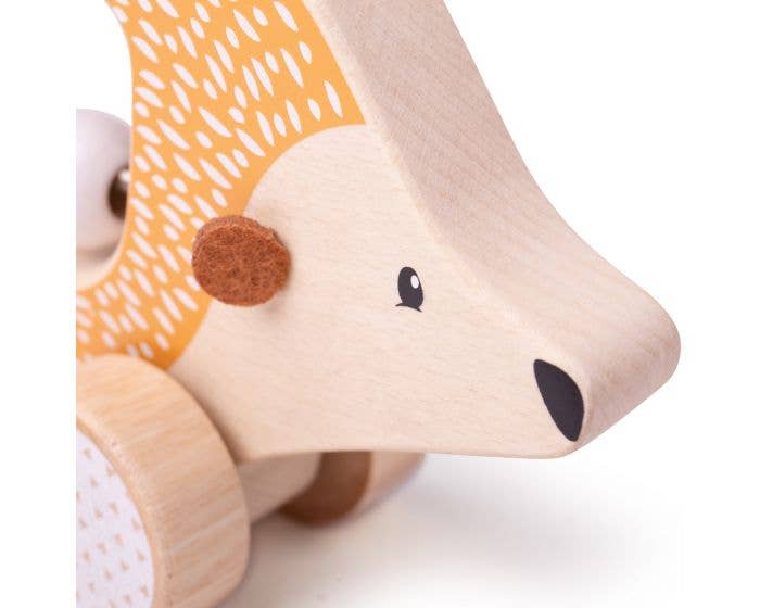 Push Along Hedgehog
