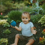 Blueberry Rattle