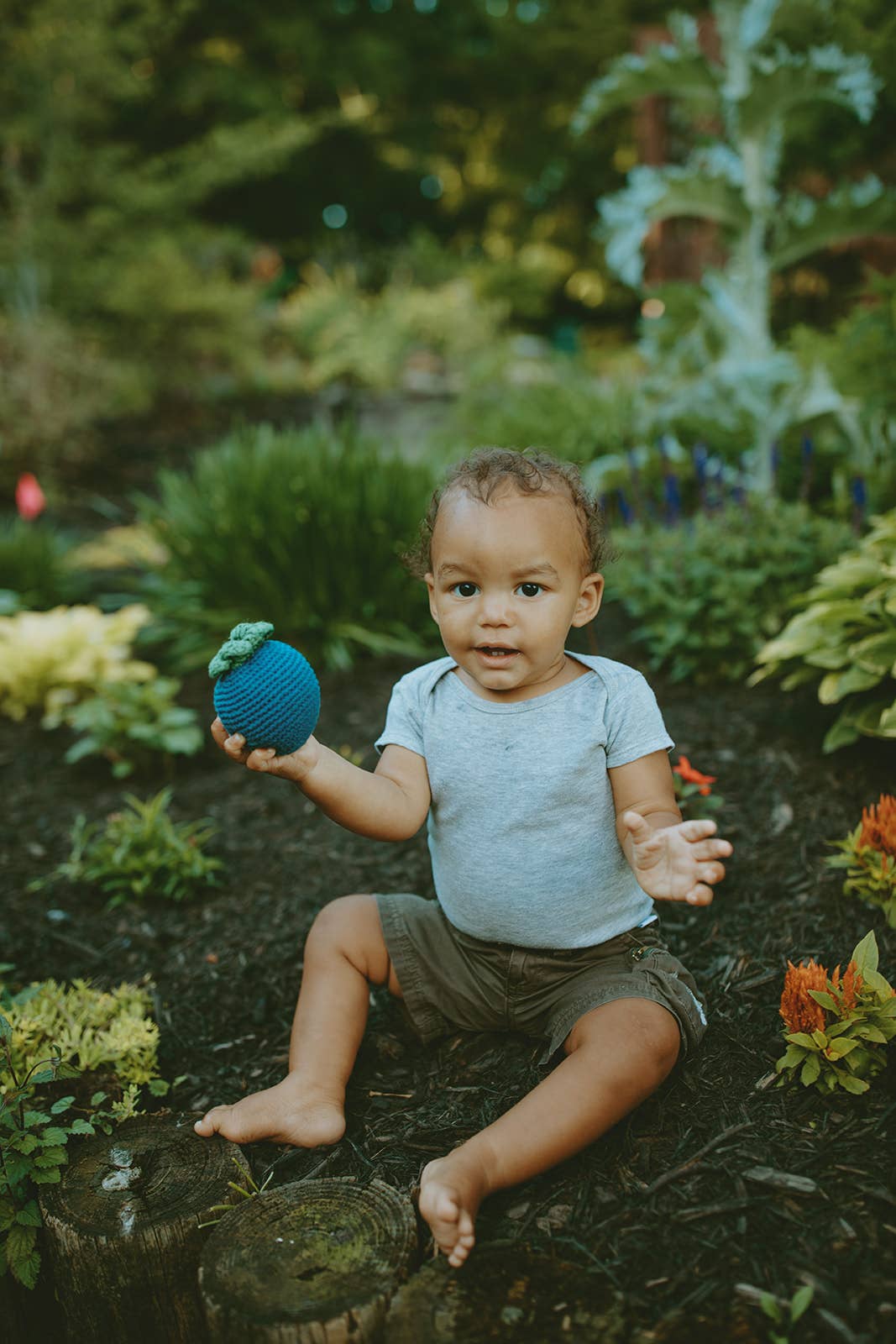 Blueberry Rattle