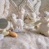 Teether Rattle & Bath Toy (Bahbah the Lamb)