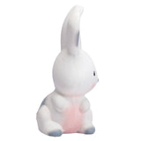 Teether Rattle Toy (Bunny)