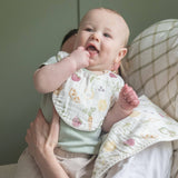 3 Pack Bandana Baby Bib (Clementine Fruit & Veggie)