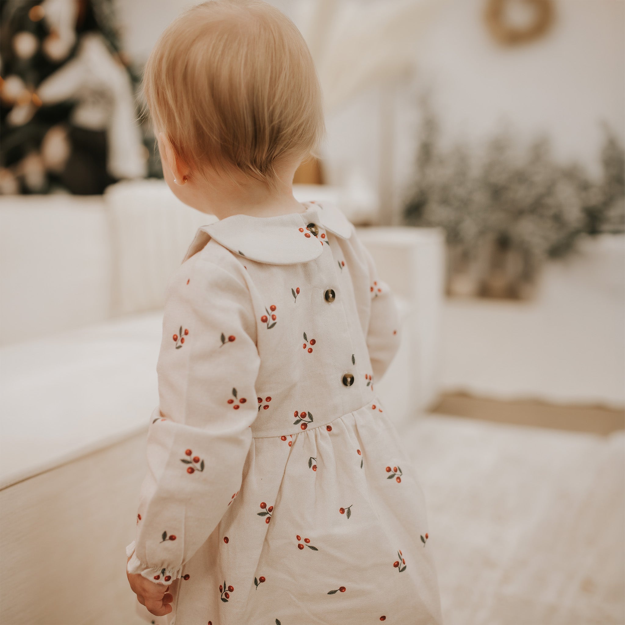 Winter Berry Flannel Dress Set
