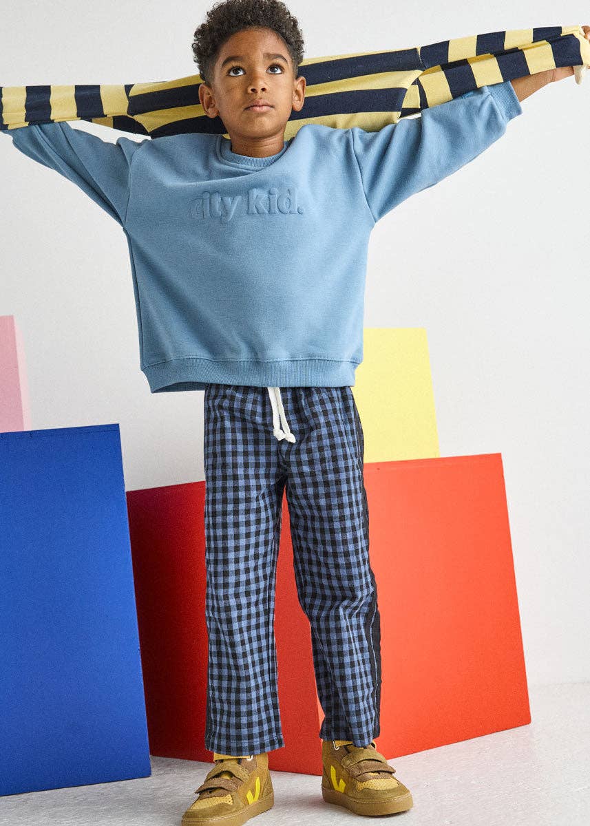 Gingham Stripe Pant (Blue & Black)
