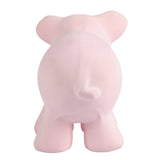 Teether Rattle (Pig)