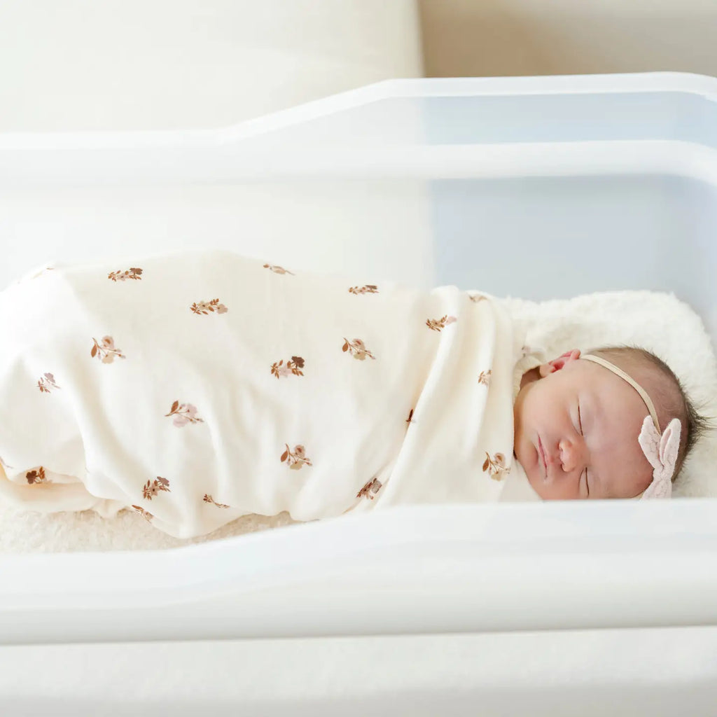 Minky Stretch Luxe Swaddle/Blanket (Meadow)
