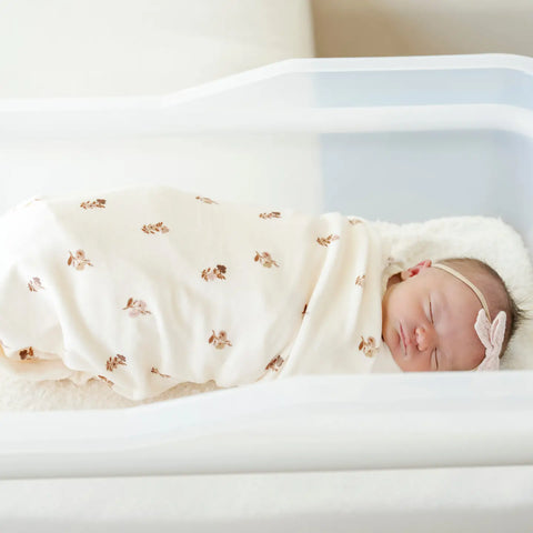 Minky Stretch Luxe Swaddle/Blanket (Meadow)