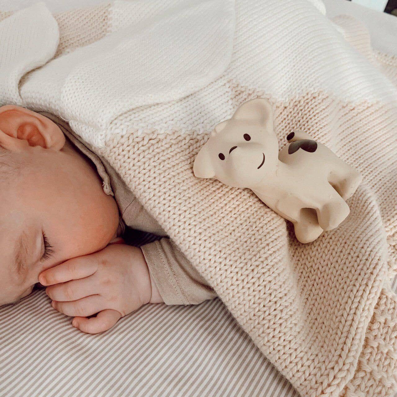 Teether Rattle Toy (Puppy)
