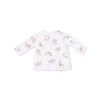 Take Me Home Set (Explorer Puppy)