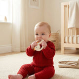 Teether with Rattle (Goose)