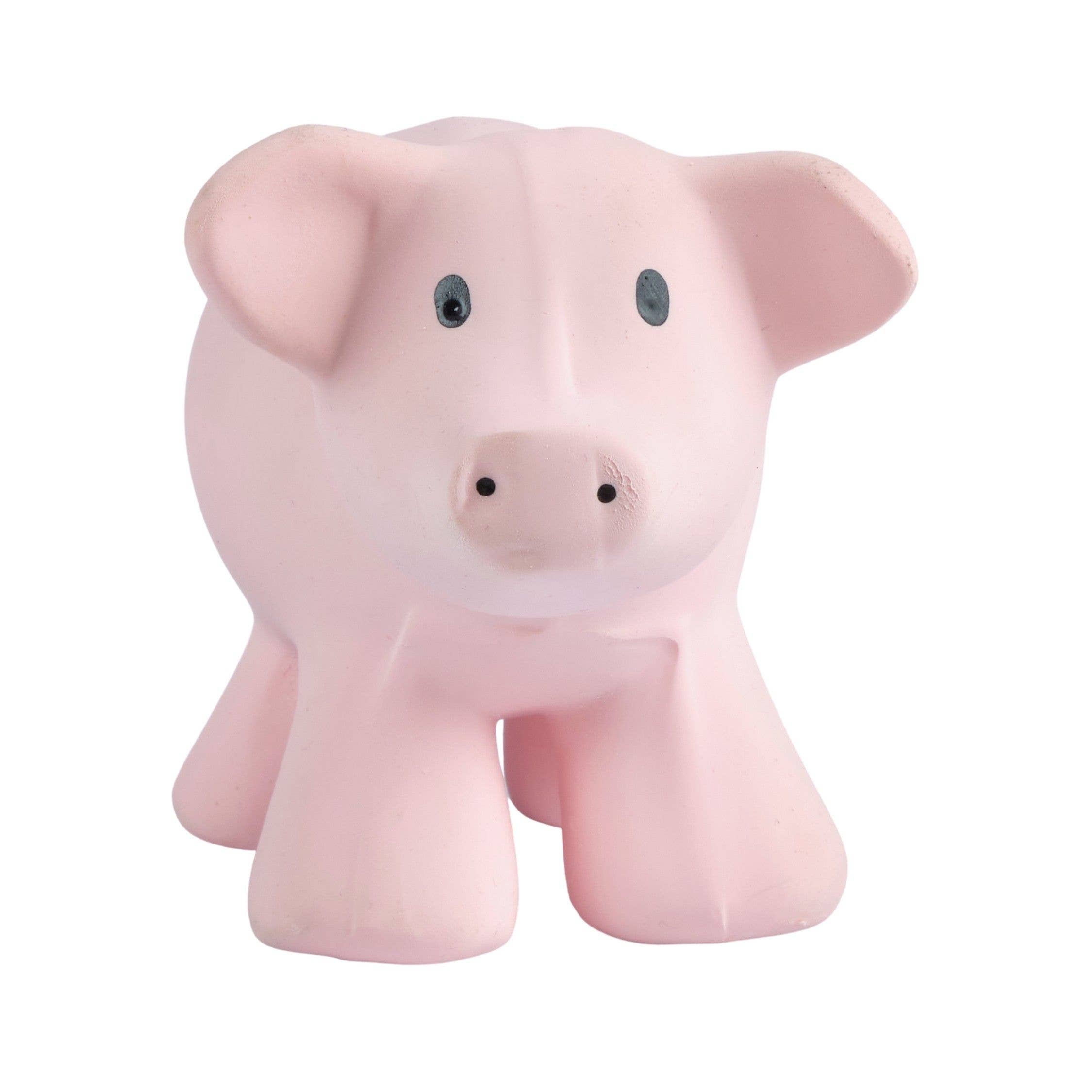 Teether Rattle (Pig)