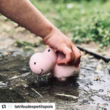 Teether Rattle & Bath Toy (Hippo)