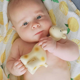 Teether Toy (Giraffe)
