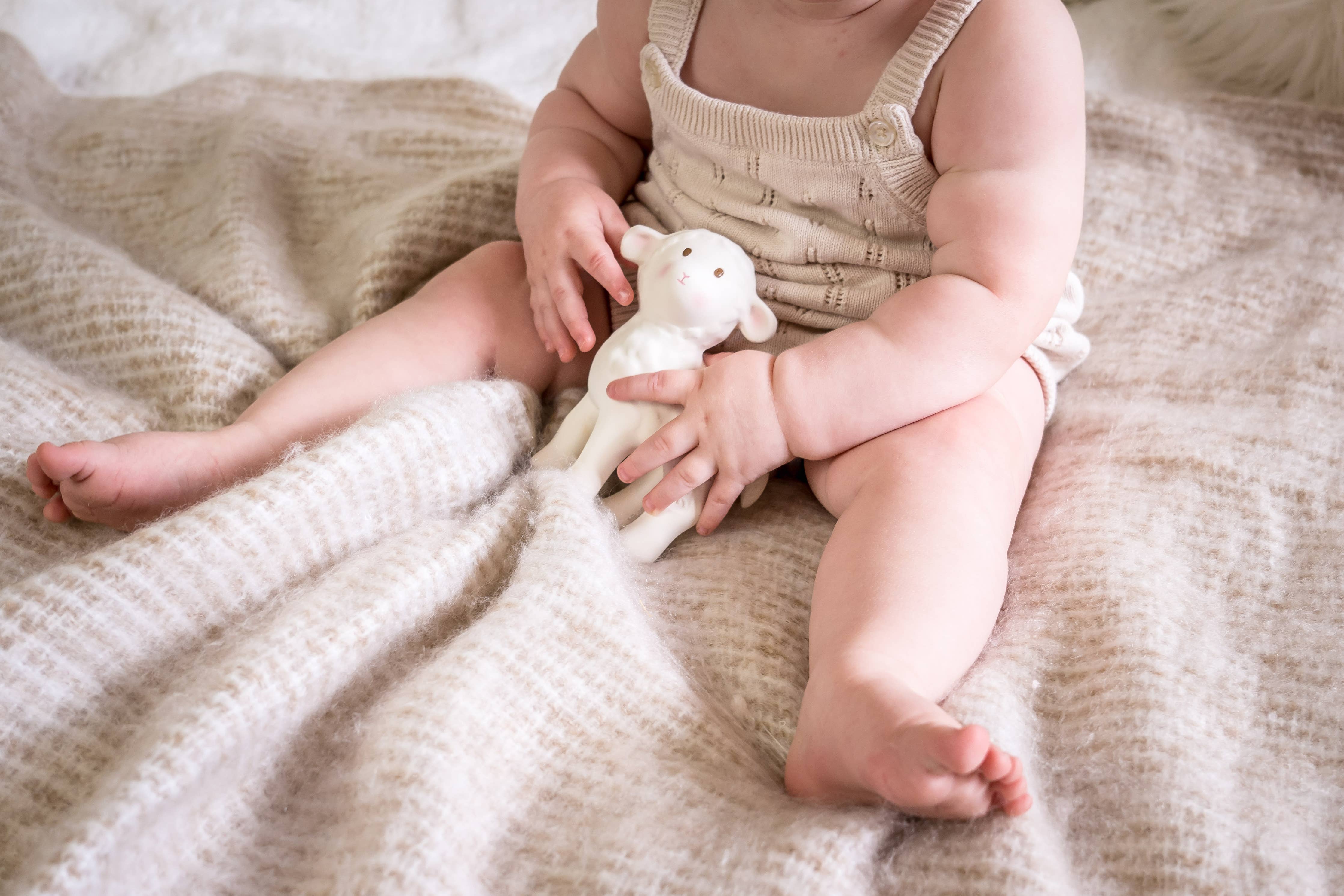 Teether Rattle & Bath Toy (Bahbah the Lamb)