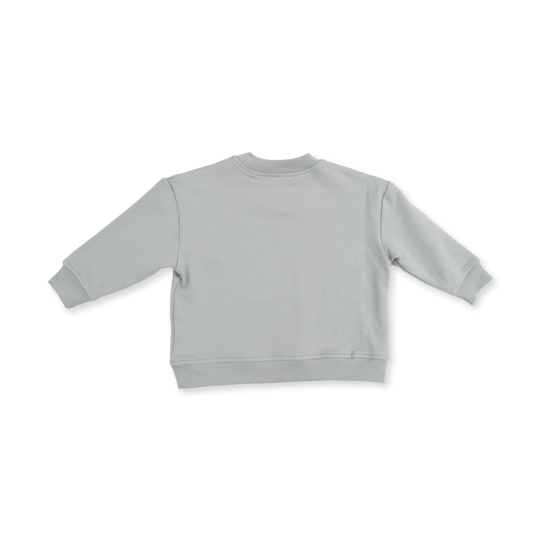 Drop Sleeve Sweatshirt (Dinos)