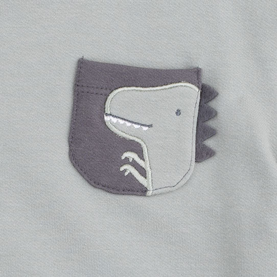Drop Sleeve Sweatshirt (Dinos)