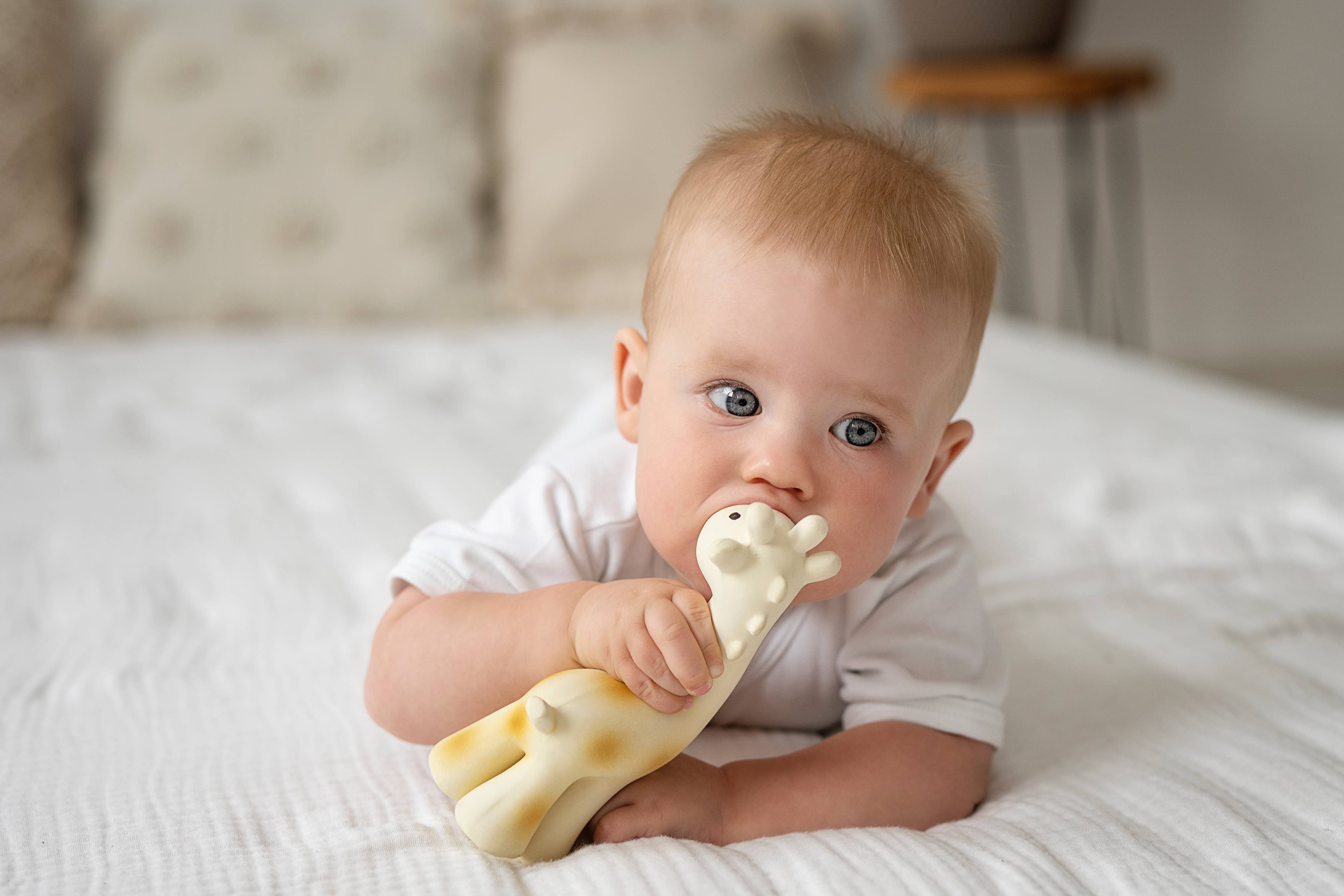 Teether Toy (Giraffe)