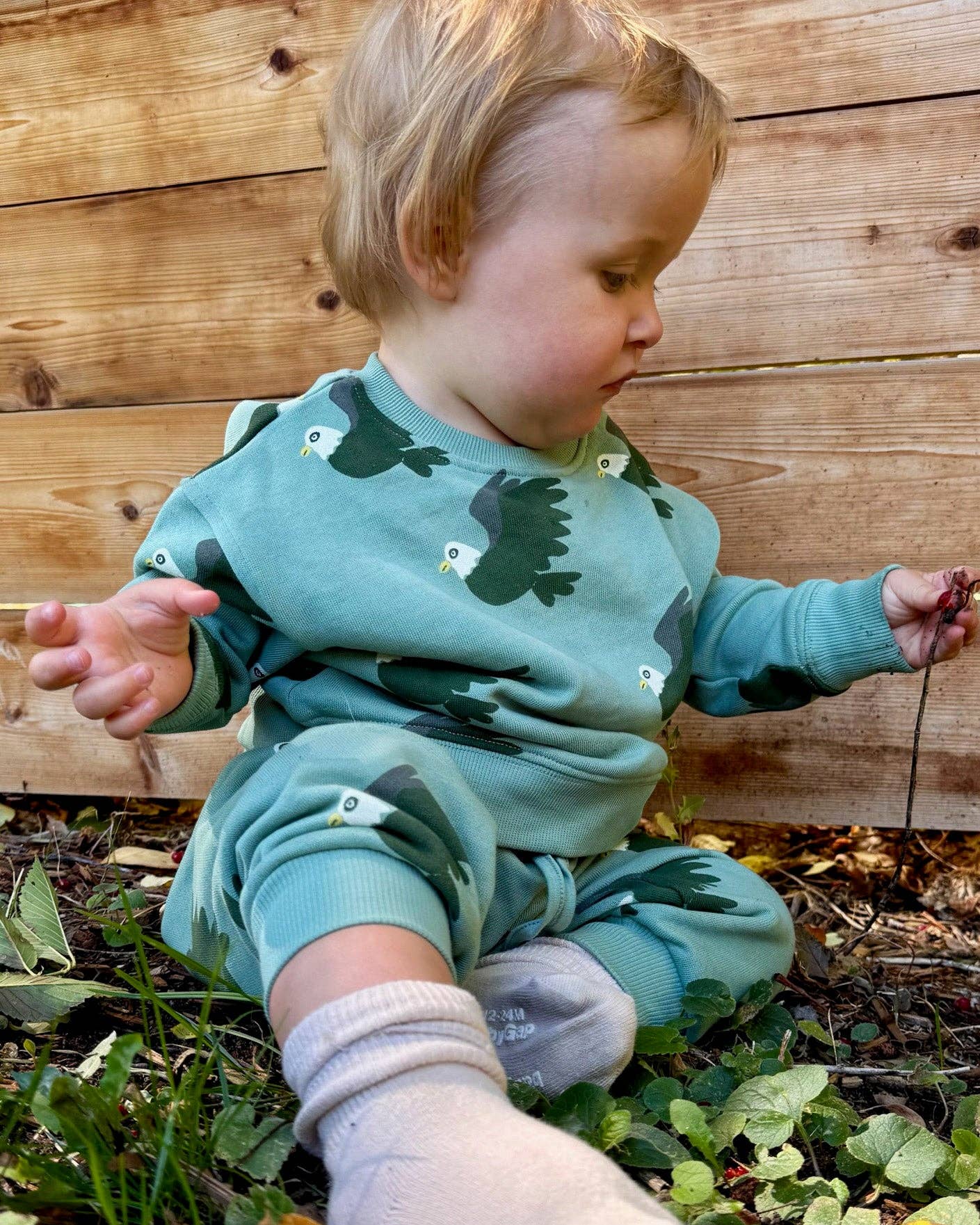 Baby Sweatshirt (Eagle)