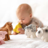 Teether Rattle (Pig)