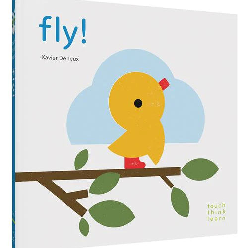 TouchThinkLearn: Fly!