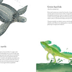 Colorful World of Reptiles