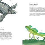 Colorful World of Reptiles