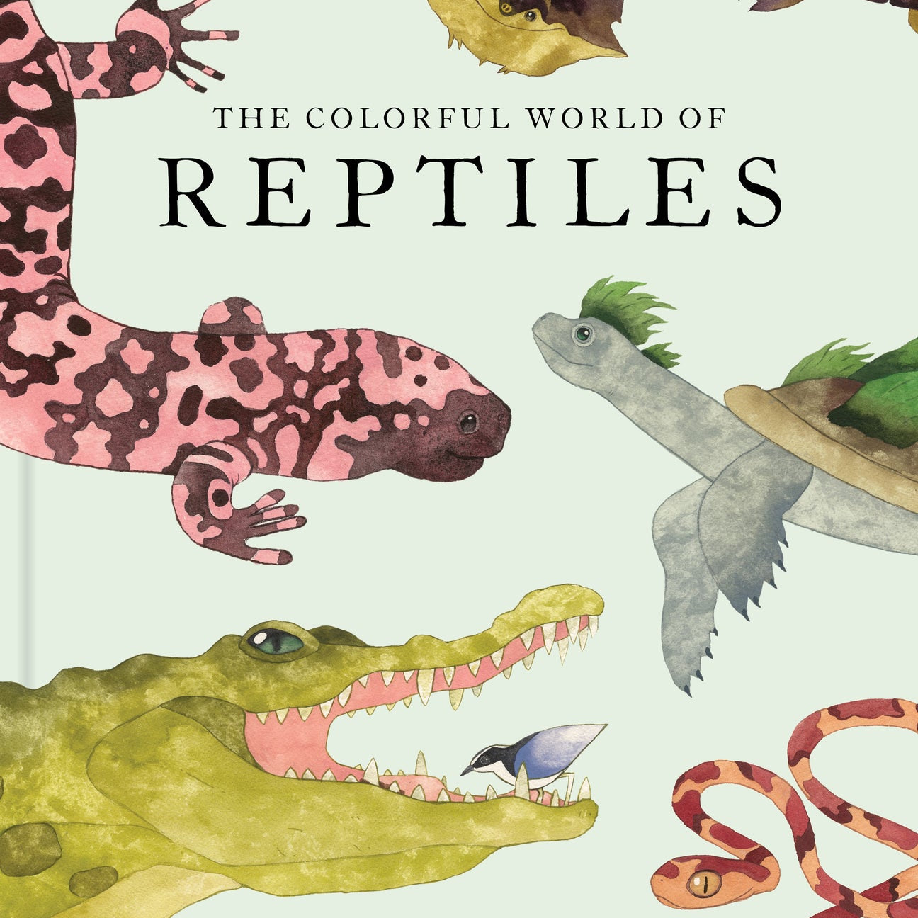 Colorful World of Reptiles
