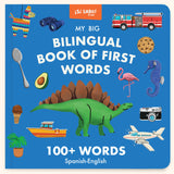 My Big Bilingual Book of First Words