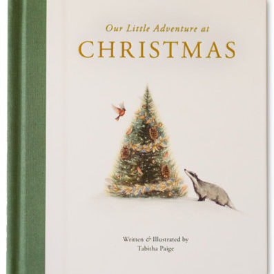 Our Little Adventure at Christmas