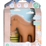 Teether Rattle Toy (Horse)