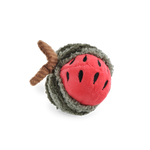 Watermelon Rattle