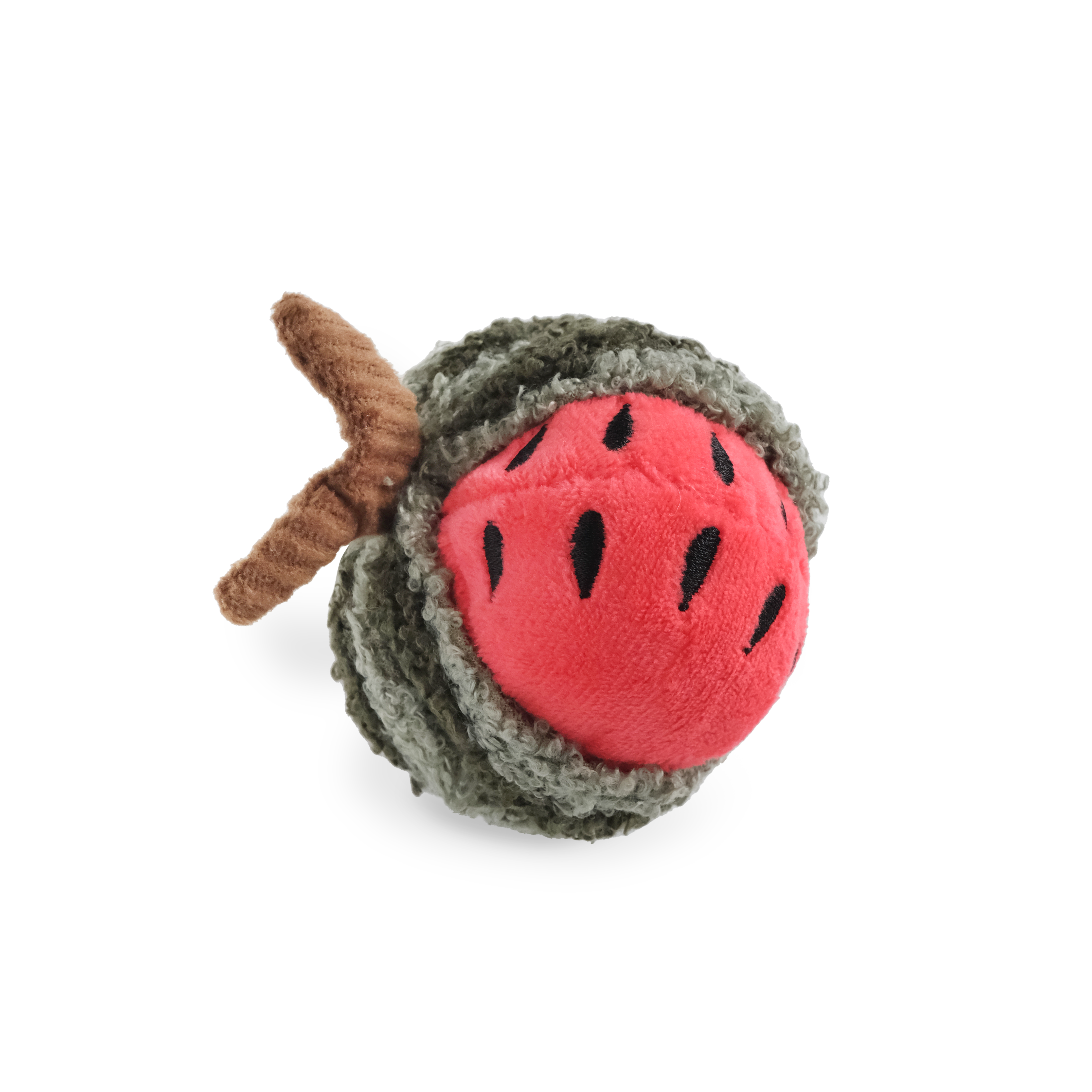 Watermelon Rattle