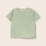 Striped Slub Cotton T-Shirt (Green)