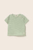 Striped Slub Cotton T-Shirt (Green)