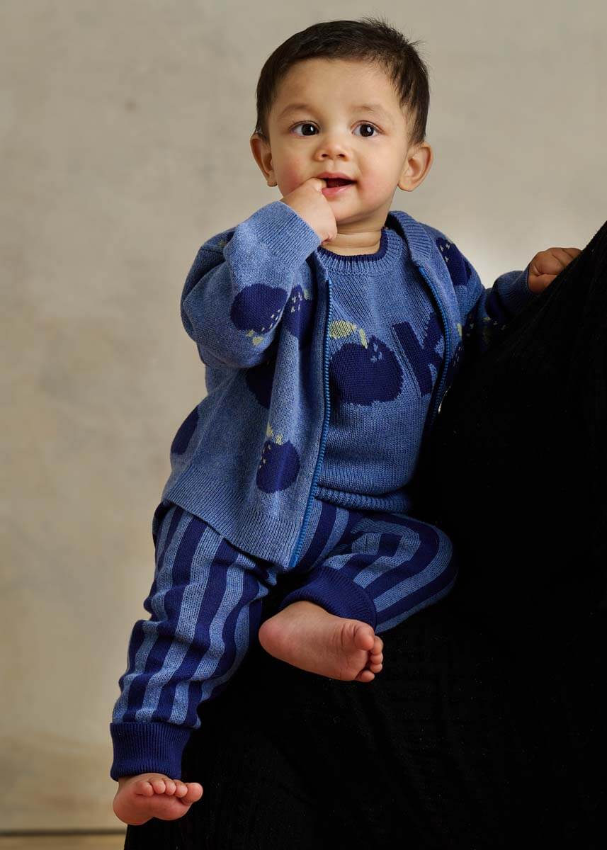 Aymer Apple Knit Cardigan (Dusty Blue)