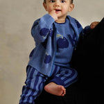 Aymer Apple Knit Cardigan (Dusty Blue)