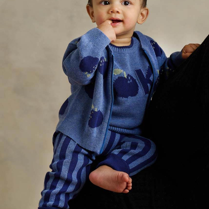 Aymer Apple Knit Cardigan (Dusty Blue)